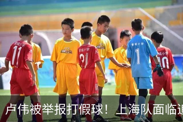 卢伟被举报打假球！上海队面临追罚，张镇麟坑惨球队