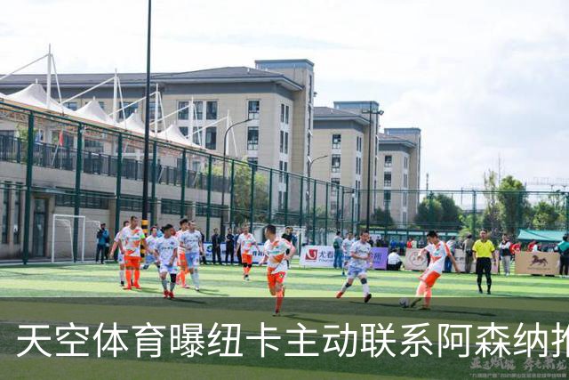 天空体育曝纽卡主动联系阿森纳推销吉马良斯，汉堡报价维埃拉遭拒