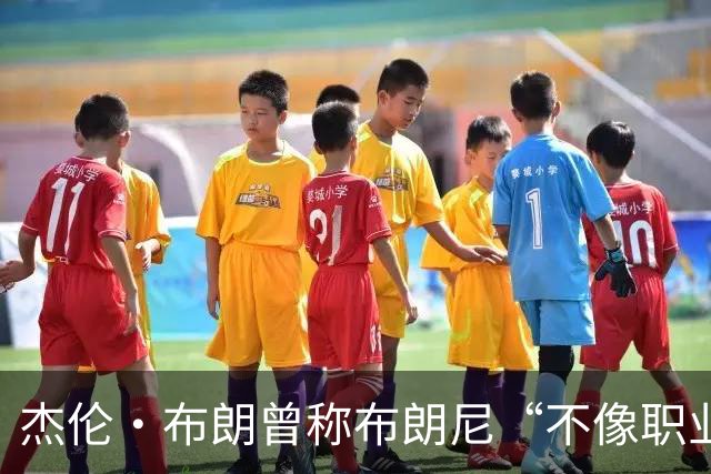 杰伦·布朗曾称布朗尼“不像职业球员”，如今勒布朗加盟76人